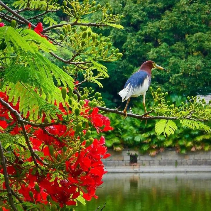 初夏吃什么好？